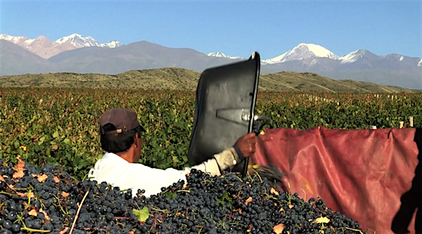 CUATRO-MANOS-ROYER-2